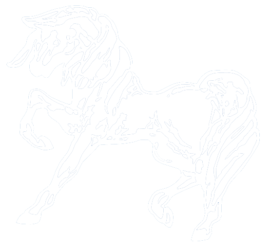 Logo Reitsport Lübars Petra Paris in weiß